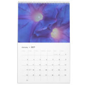 2022: BLAUW VAN DE BLOOM KALENDER (Jan 2027)