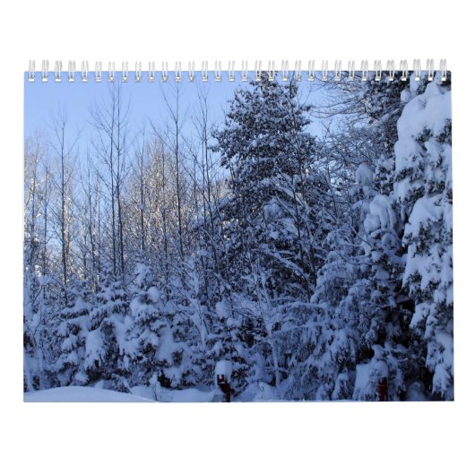 2022 Calendar Nature in Winter Kalender (Achterkant)