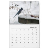 2022 Calendar Nature in Winter Kalender (Jan 2027)