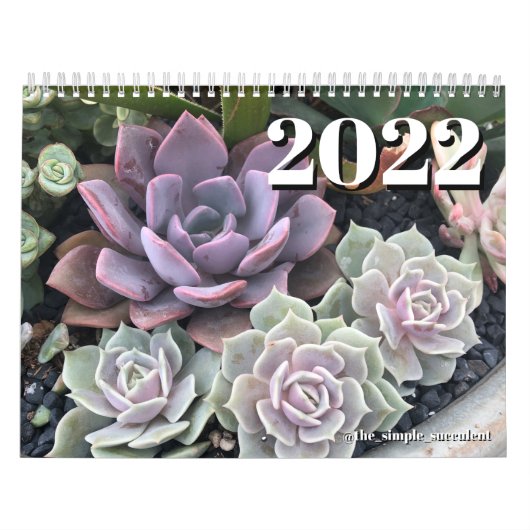 2022 Colorful Succulent Plant Calendar Kalender (Hoes)