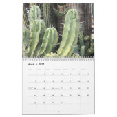 2022 Colorful Succulent Plant Calendar Kalender (Mar 2027)