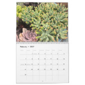 2022 Colorful Succulent Plant Calendar Kalender (Feb 2027)