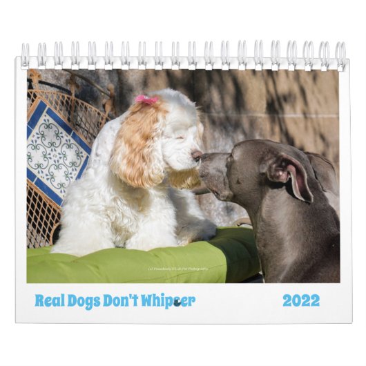 2022 Dog Agenda verkort uw dagen met een daling Kalender (Hoes)