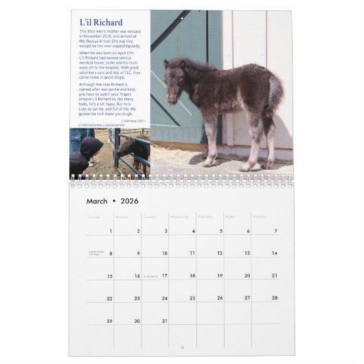 2022 HPF-kalender - 8,5x11 inch Kalender (Mar 2026)