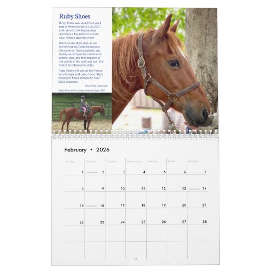 2022 HPF-kalender - 8,5x11 inch Kalender (Feb 2026)