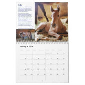2022 HPF-kalender - 8,5x11 inch Kalender (Jan 2026)