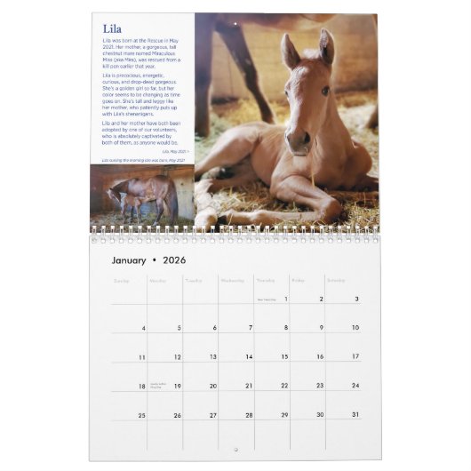 2022 HPF-kalender - 8,5x11 inch Kalender (Jan 2026)