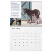 2022 HPF-kalender - 8,5x11 inch Kalender (Mar 2027)