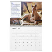 2022 HPF-kalender - 8,5x11 inch Kalender (Jan 2027)
