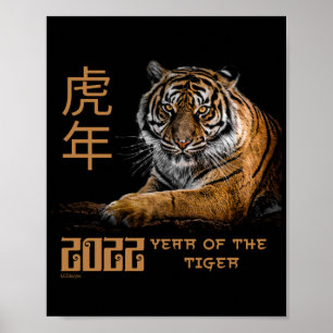 2022 JAAR VAN DE KWESTIE VAN HET TIGER Chinese NIE Poster