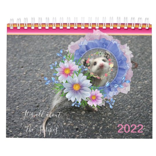2022 Kalender Kleurrijke Strepen Opossum Bloemen (Achterkant)