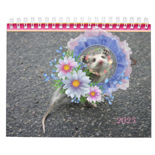2022 Kalender Kleurrijke Strepen Opossum Bloemen