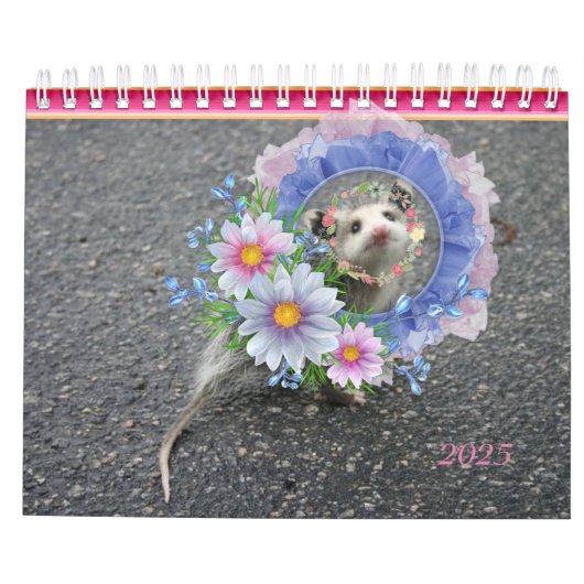2022 Kalender Kleurrijke Strepen Opossum Bloemen (Achterkant)