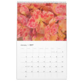 2022 mooie natuur kalender (Jan 2027)