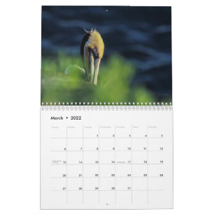 2022 Mooie vogelkalender Kalender
