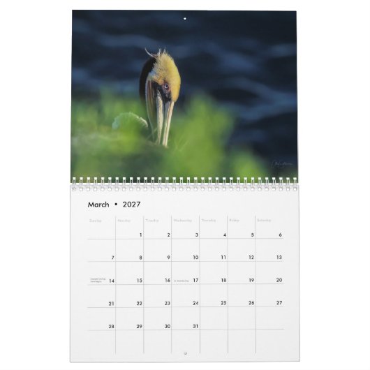 2022 Mooie vogelkalender Kalender (Mar 2027)