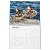 2022 Mooie vogelkalender Kalender (Jan 2027)
