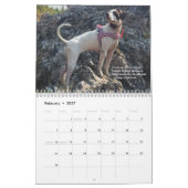 2022 Pointers of the Heart PointerRescue Org Kalender (Feb 2027)