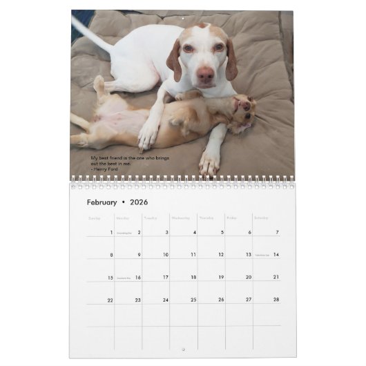 2022 Pointers & Pals PointerRescue Org Agenda Kalender (Feb 2026)