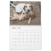 2022 Pointers & Pals PointerRescue Org Agenda Kalender (Feb 2027)