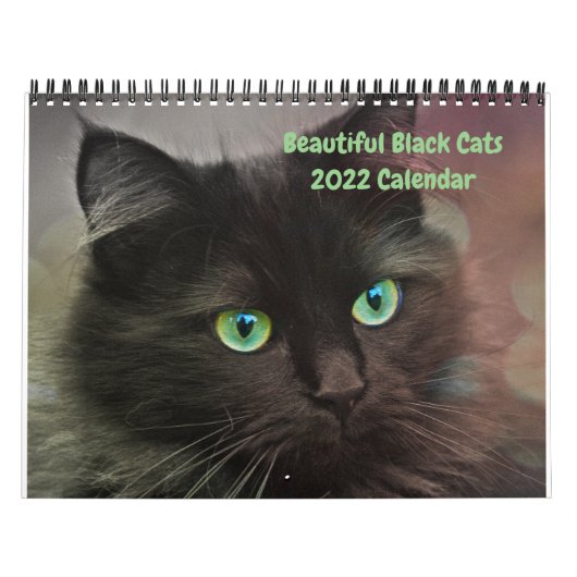 2022 Prachtige zwarte katten - 12-maands wandkalen Kalender (Hoes)