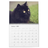2022 Prachtige zwarte katten - 12-maands wandkalen Kalender (Jan 2027)