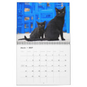 2022 Prachtige zwarte katten - 12-maands wandkalen Kalender (Mar 2027)