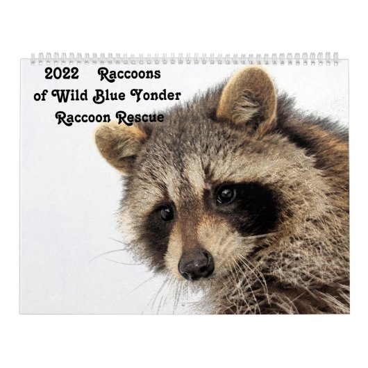 2022 Raccoons van de "Wild Blue Yonder Raccoon Res Kalender (Hoes)
