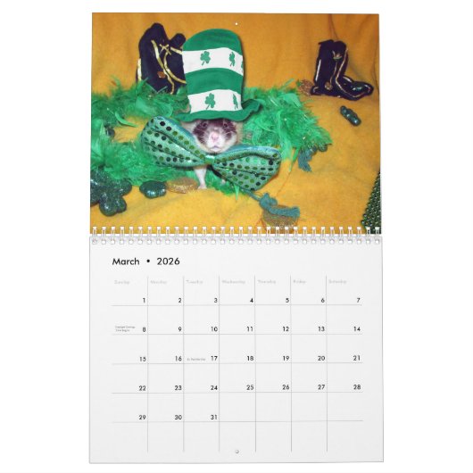 2022 Ratten van de kalender E van de Rodent Reader (Mar 2026)