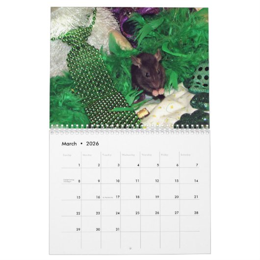 2022 Ratten van de kalender van de Rodent Reader  (Mar 2026)