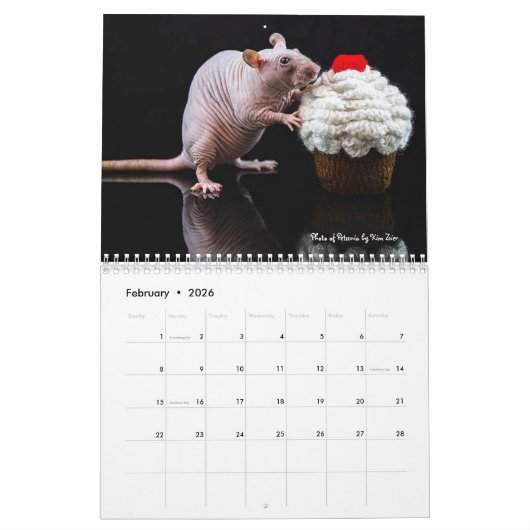 2022 Ratten van de kalender van de Rodent Reader (Feb 2026)