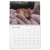 2022 Ratten van de kalender van de Rodent Reader  (Jan 2026)