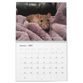 2022 Ratten van de kalender van de Rodent Reader  (Jan 2027)