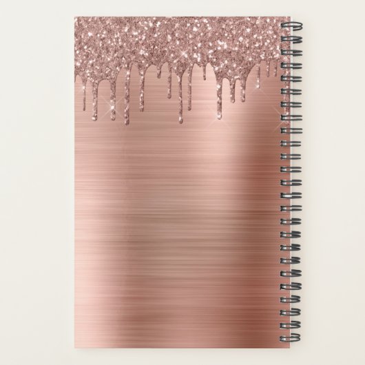 2022 Roos Goud Blush Pink Glitter Sparkle Monogram Planner (Achterkant)