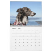 2022 Silken Windhounds (hoofdschoten) Kalender (Jan 2027)