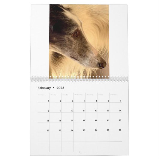 2022 Silken Windhounds (hoofdschoten) Kalender (Feb 2026)