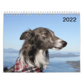 2022 Silken Windhounds (hoofdschoten) Kalender (Hoes)