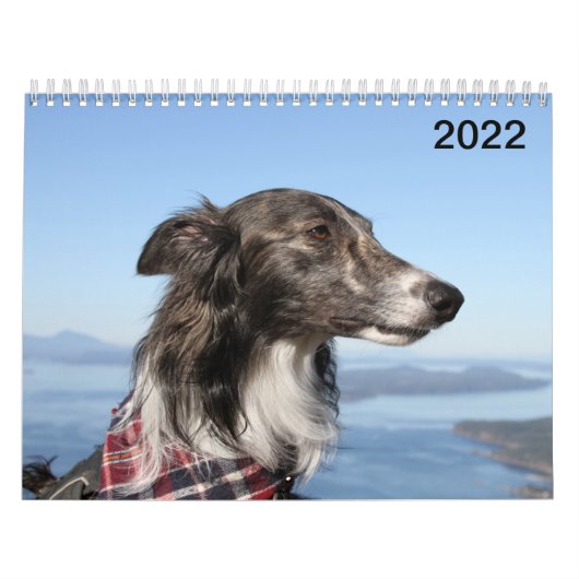 2022 Silken Windhounds (hoofdschoten) Kalender (Hoes)