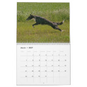 2022 Silken Windhounds (meerdere honden en in acti Kalender (Mar 2027)