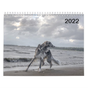 2022 Silken Windhounds (meerdere honden en in acti Kalender