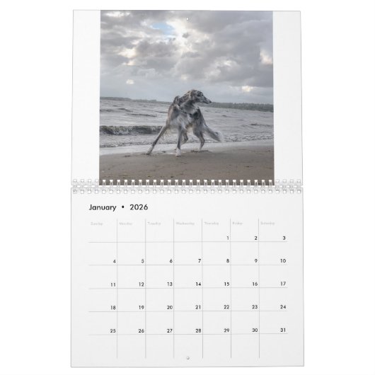 2022 Silken Windhounds (meerdere honden en in acti Kalender (Jan 2026)