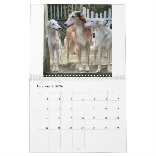 2022 Silken Windhounds (meerdere honden en in acti Kalender (Feb 2026)