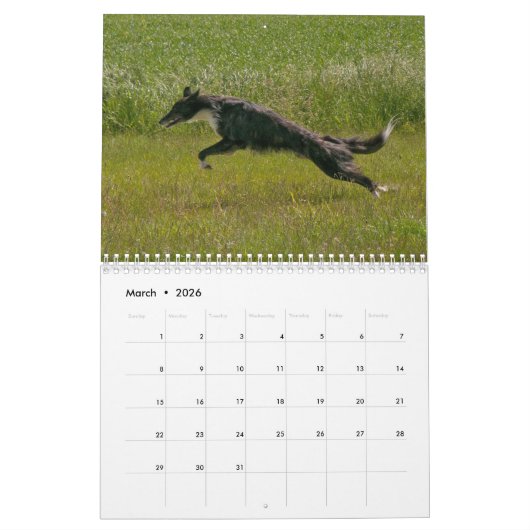 2022 Silken Windhounds (meerdere honden en in acti Kalender (Mar 2026)