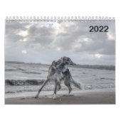 2022 Silken Windhounds (meerdere honden en in acti Kalender (Hoes)
