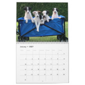 2022 Silken Windhounds (Puppies) Agenda Kalender (Jan 2027)
