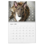 2022 Silken Windhounds (Puppies) Agenda Kalender (Mar 2027)