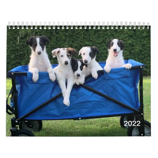 2022 Silken Windhounds (Puppies) Agenda Kalender (Hoes)