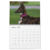 2022 Silken Windhounds (rusten) Kalender (Feb 2027)