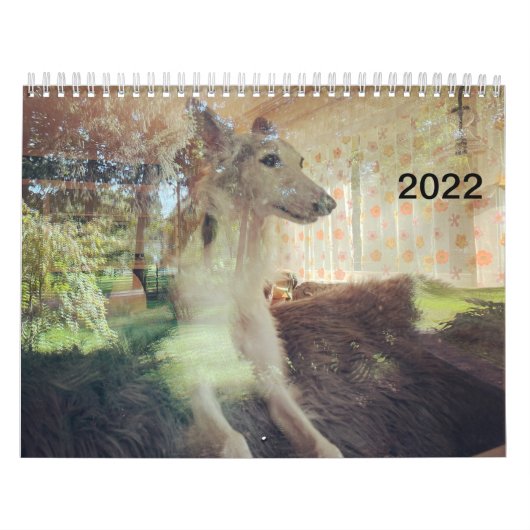 2022 Silken Windhounds (rusten) Kalender (Hoes)