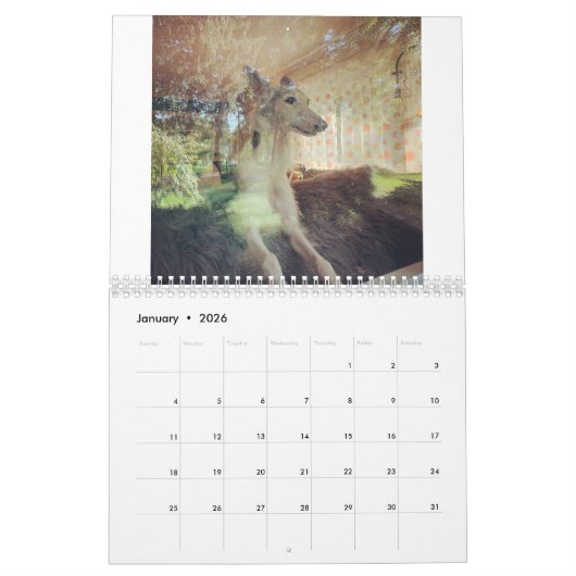 2022 Silken Windhounds (rusten) Kalender (Jan 2026)